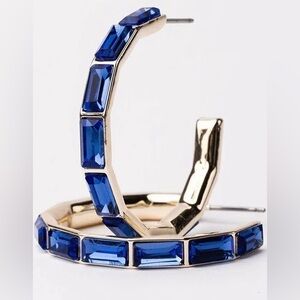 Michelle McDowell Kora Blue Hoops